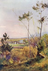 光鳳の橋 作： Thomas Hodgson Liddell